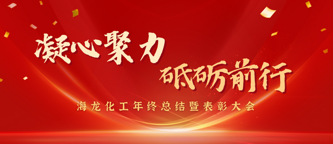 表彰 | 凝心聚力，砥礪前行，海龍化工年終總結(jié)暨表彰大會(huì)圓滿舉行